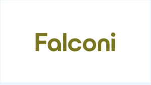 Falconi Consultoria